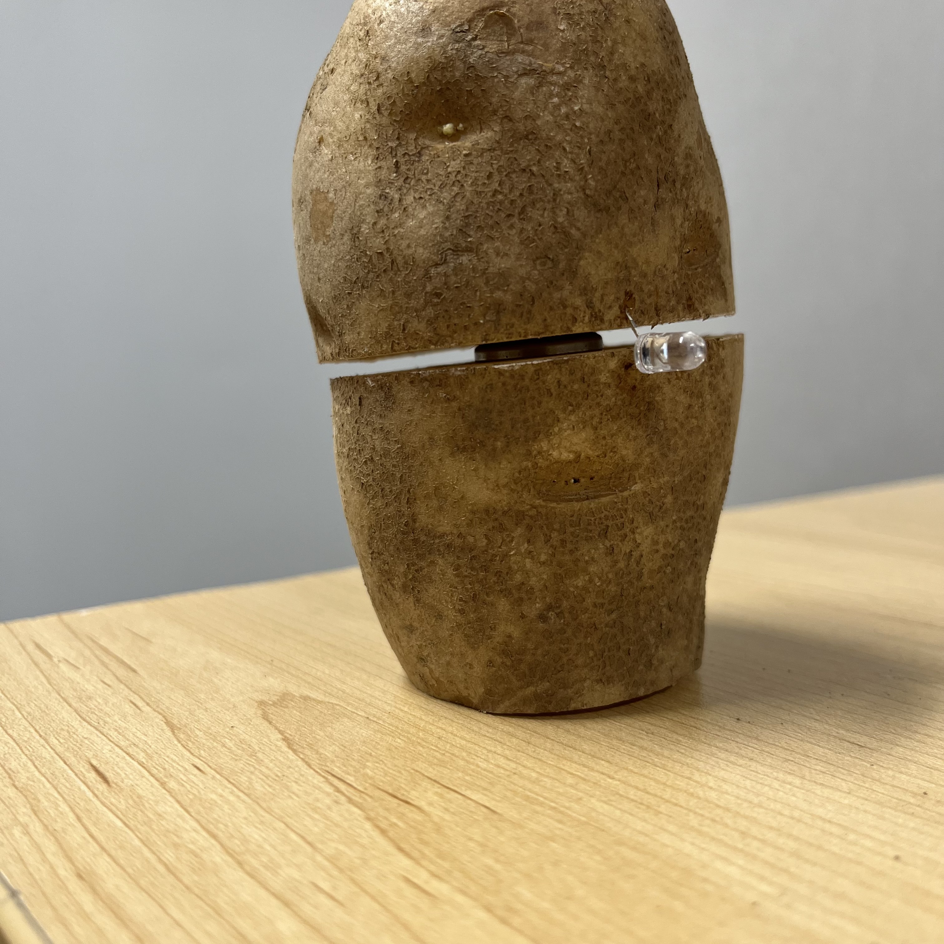 I wanted to try something more out there so I made a potato circuit. This is version 2, version 1 also worked but both were impossible to photograph with the lights on. This photo shows the construction of it, but the camera doesn't capture the light because it's so dim. This would have worked better with a 9V battery I believe.